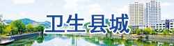 衛生縣城